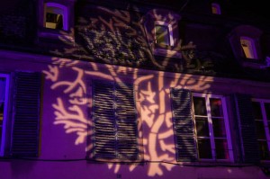 IMG_8156