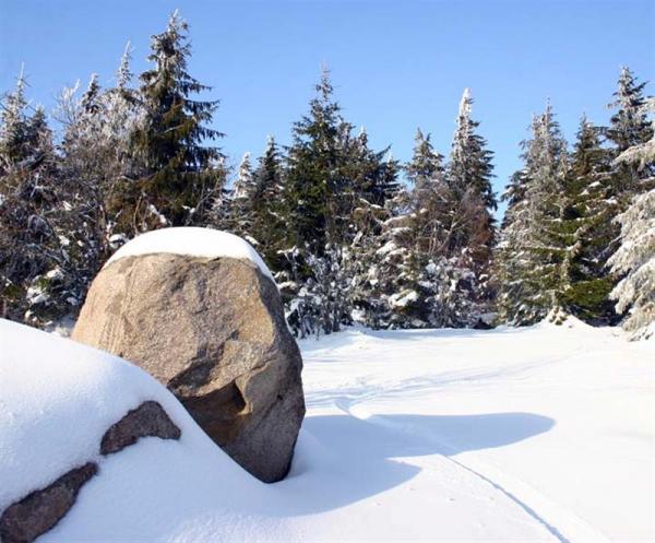 Sous la neige