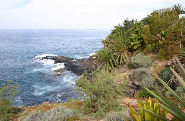 Tenerife entre terre et mer