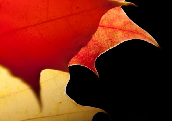 En rouge et jaune